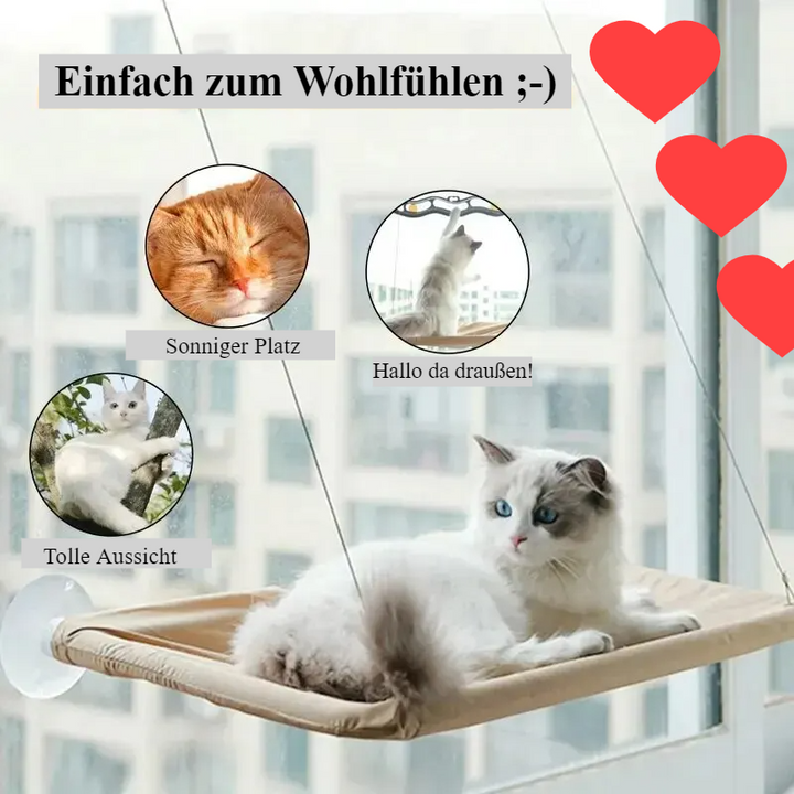 Sunset Snooze – Das gemütliche Sonnenbett für Ihre Katze