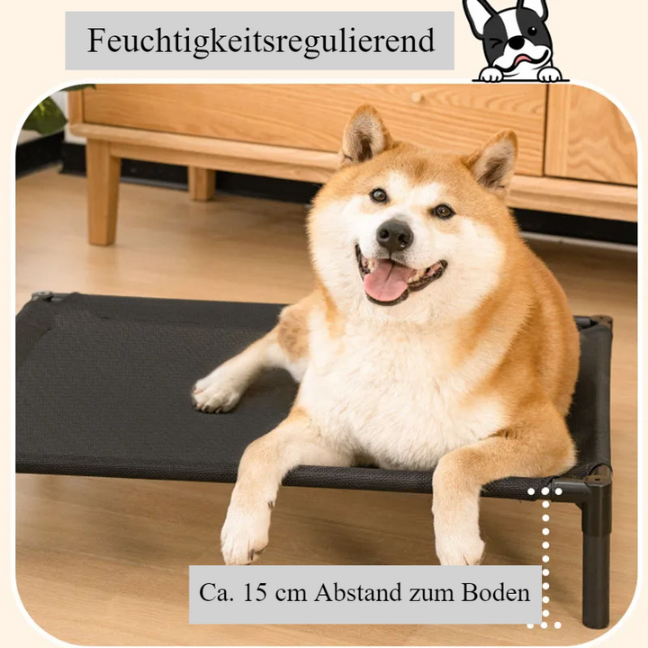 Elevated Paws – Das ergonomische Hundebett für besseren Schlaf und Gesundheit