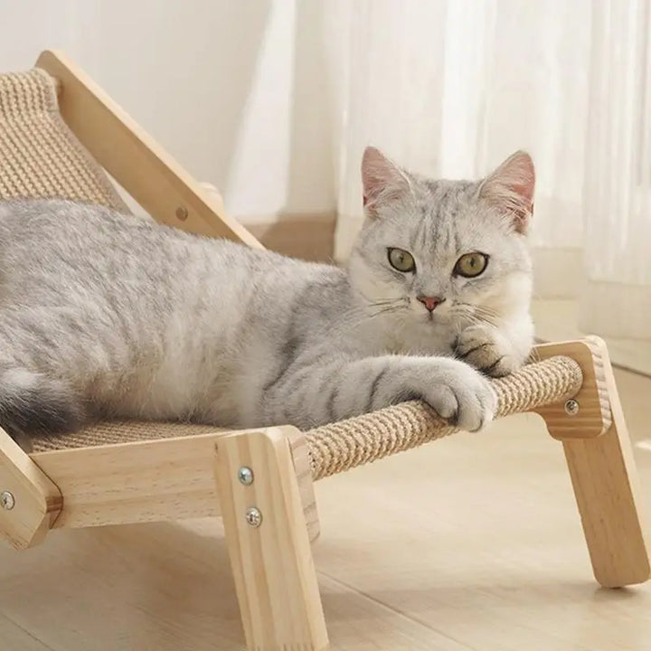 CatLounge – der schicke Thron für deine Samtpfote 🐾